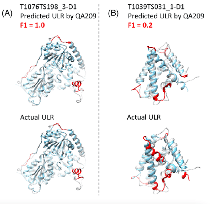 Assessment of protein model structure accuracy estimation in CASP14: Old and new challenges